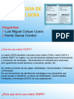 Exposicion Matriz Dofa