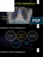 Anatomy of The Mediastinum CXR