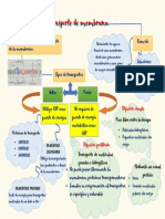 mapa fisiologia 