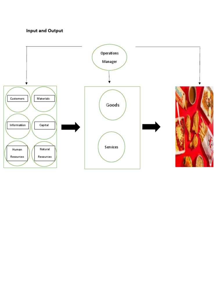 Input and Output: Goods | PDF | Audit | Financial Audit