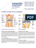 Patient Guide To PCL Injuries