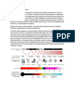 Espectro Electromagnetico