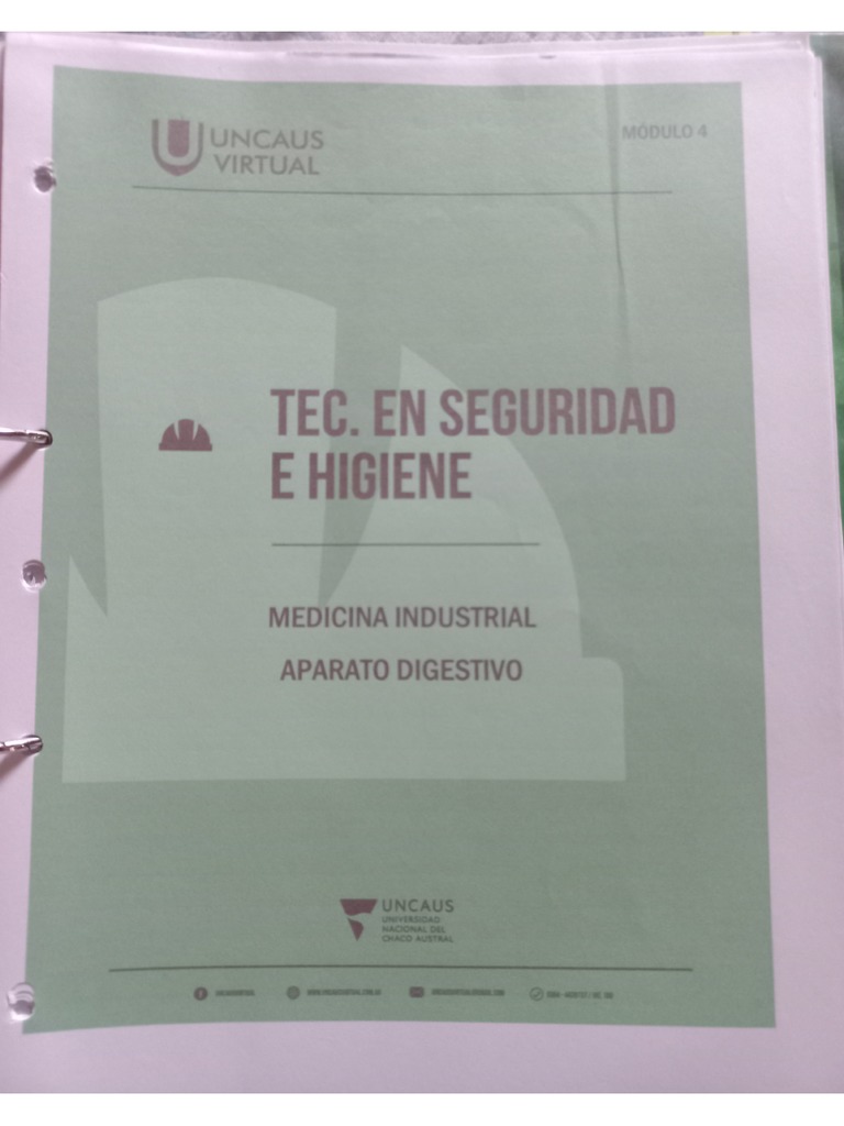 Mdulo 4 | PDF