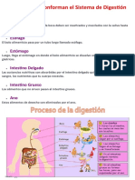 09-06-22 Ficha y Leccionario