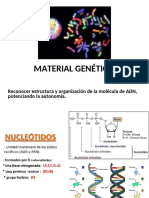 Estructura y organización del ADN