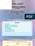 5ta Parte de Sistematica Vegetal