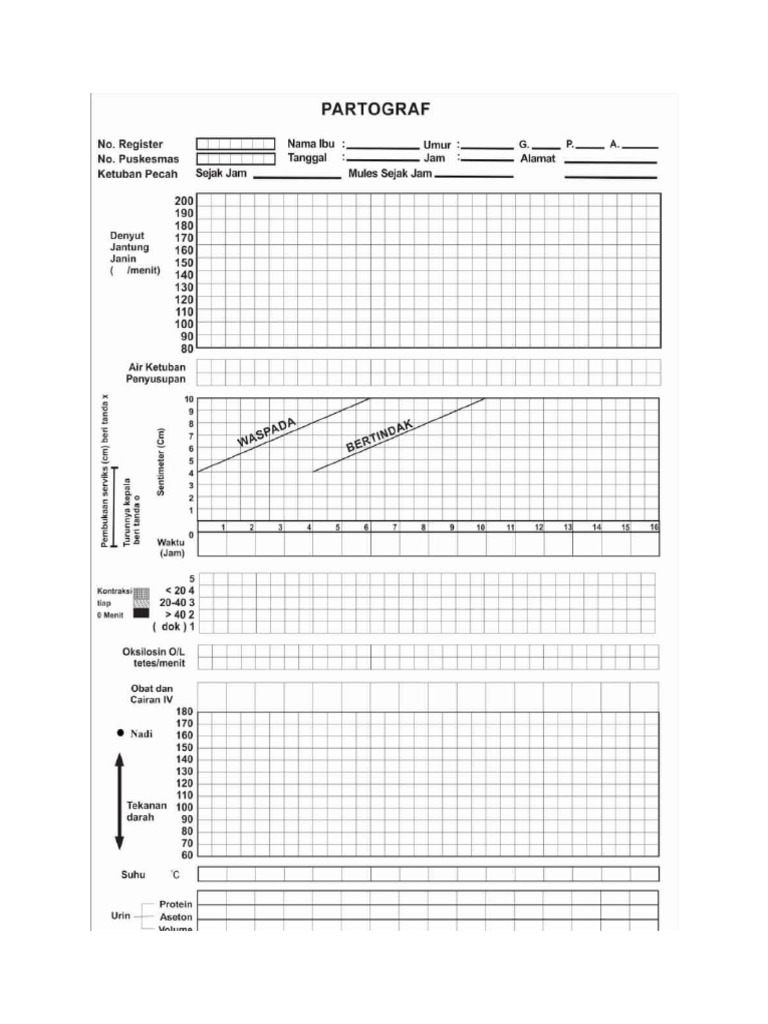 PATOGRAF | PDF