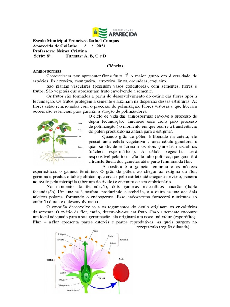 FECUNDAÇÃO DE ANGIOSPERMA - ppt carregar