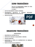 Organismo Transgénico