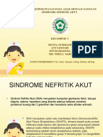 Sindrome Nefritik Akut (Sna)