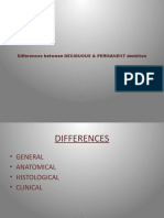 Deciduous & Perm. Differences