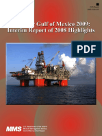 Deepwater Gulf of Mexico 2009 Interim Report of 2008 Highlights