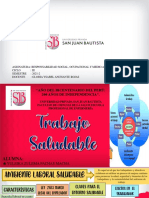 Trabajo Saludable PDF