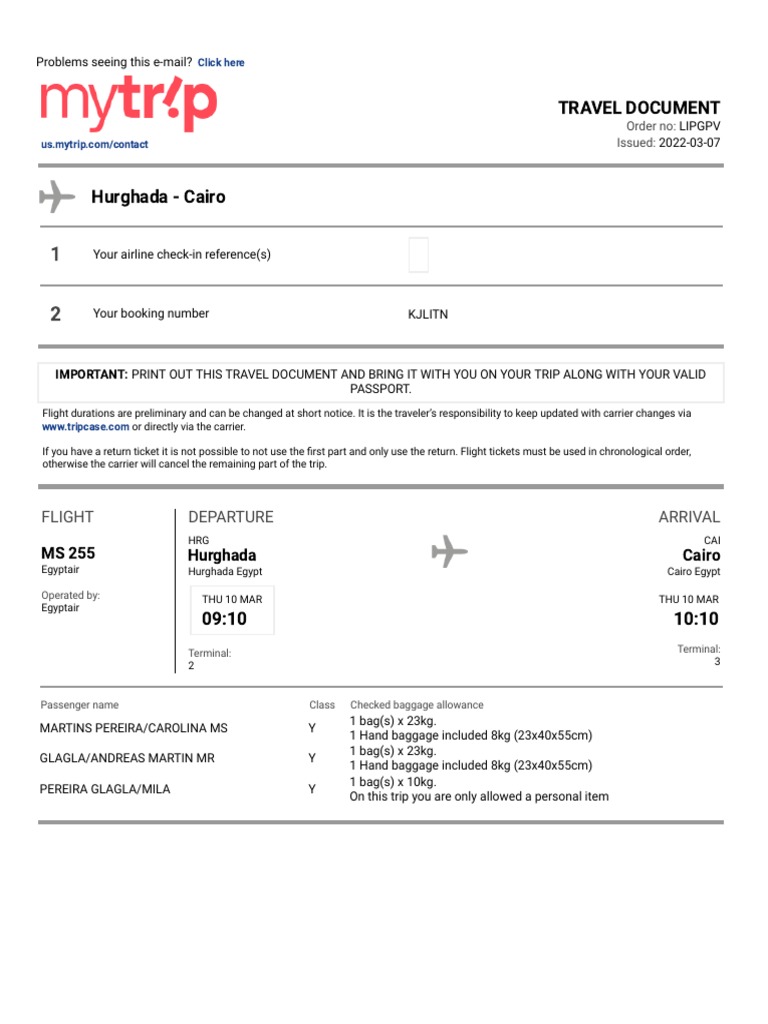 Hurghada To Cairo Egyptair PDF Baggage Airlines