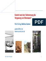 Kommt Nach Der Verbrennung Die Vergasung Von Biomasse?: Prof. Dr.-Ing. Matthias Gaderer