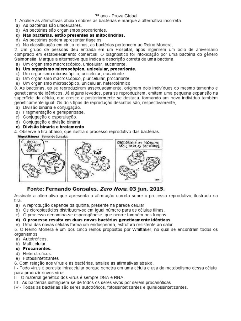 7º Ano - Prova Virus e Bactérias | PDF | Bactérias | Vírus
