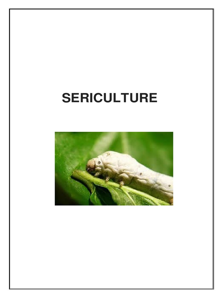 1 Sericulture | PDF | Silk | Pupa