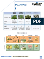 Biología - Reg 8 - Reino Plantae I