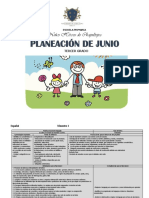 Junio 3a Planeación PDF