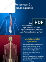 6.medula Spinalis Edit