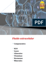 Fluido Extracelular