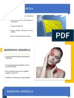 02 Bandeira+amarela