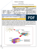 CyT 3° y 4° Sec. Semana 3 EDA 9