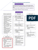 Guia Metodologica Primaria