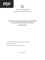 Download Seminar Ska Naloga Virusne Driske by Rok Rogelj SN58000864 doc pdf