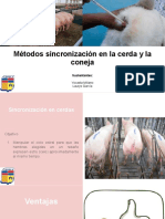 Métodos Sincronización en La Cerda y La Coneja