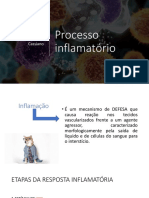 Inflamação2 On