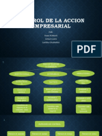 Control de La Accion Empresarial