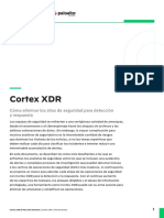 Cortex XDR Silos WP Esla