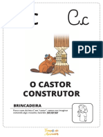 Construções de Castor e Formiga