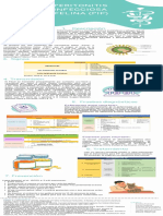 2276 Infografía Peritonitis Infecciosa Felina G1 - 220115 - 112715