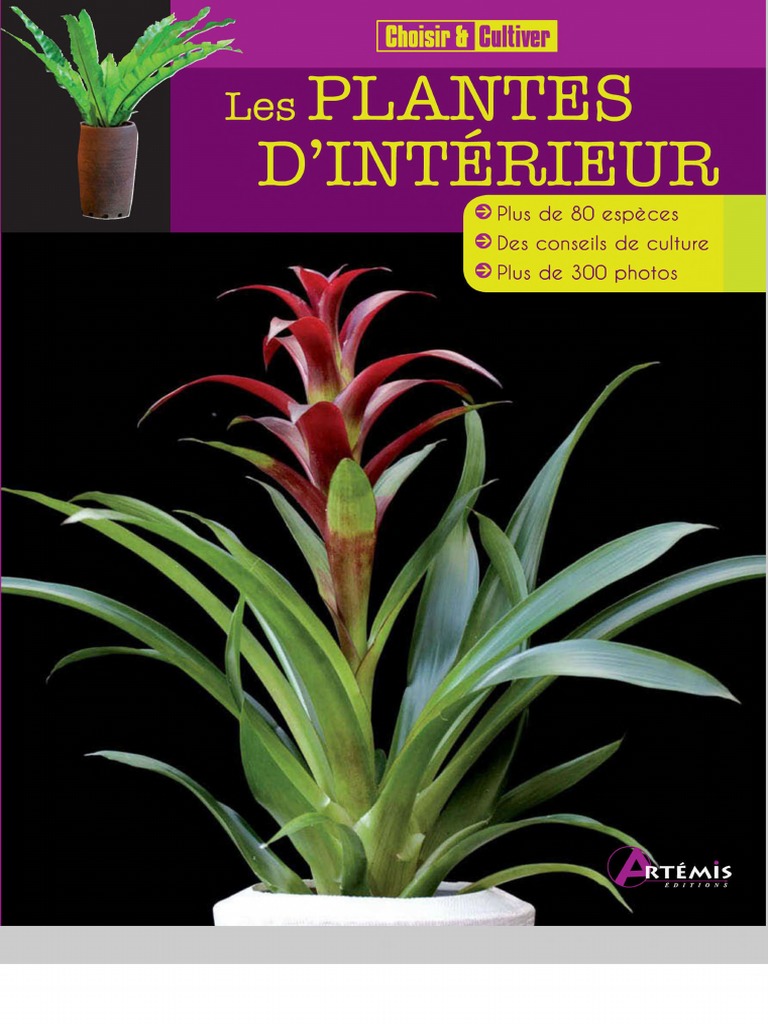 Les Plantes D'intérieur, PDF, Fertilisant