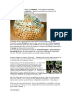 Download Arte Povera by Celeste Siri SN58004562 doc pdf