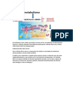 Estrés oxidativo: causas y consecuencias del desequilibrio redox celular