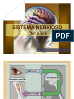 SISTEMA NERVIOSO 3ero