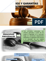 Principios procesales penales: garantías, plazos y sujetos