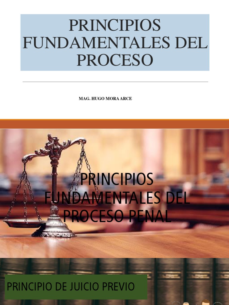 Principios Fundamentales del Proceso Penal | PDF | Ley procesal ...
