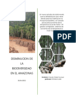 Biodiversidad en El Amazonas Gracias A La Deforestación