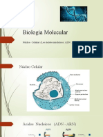 Biologia_Molecular_ADN_ARN