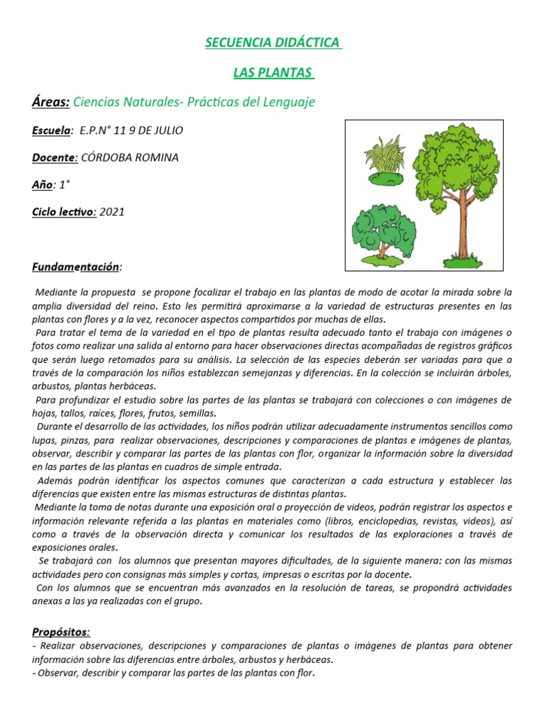 Secuencia Didáctica: Las Plantas 1° Grado | PDF | Tallo de la planta | Hoja