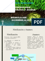 Nitrificacion y Anamox