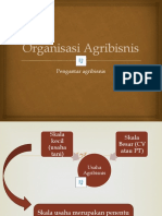 Organisasi Agribisnis