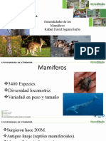 Generalidades de Los Mamiferos