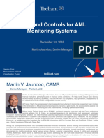 Risks and Controls For AML Monitoring Systems