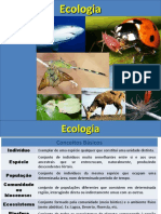 Aula Ecologia (7)