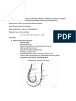 Schistosomes